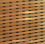 EDUARDO SOUTO MOURA