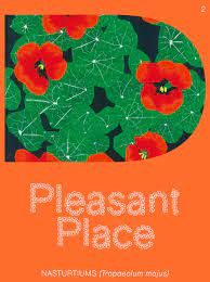 PLEASANT PLACE 2: NASTURTIUMS