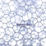 WATERCUBE – THE BOOK, PTW Architects + ARUP Australia