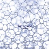 WATERCUBE – THE BOOK, PTW Architects + ARUP Australia